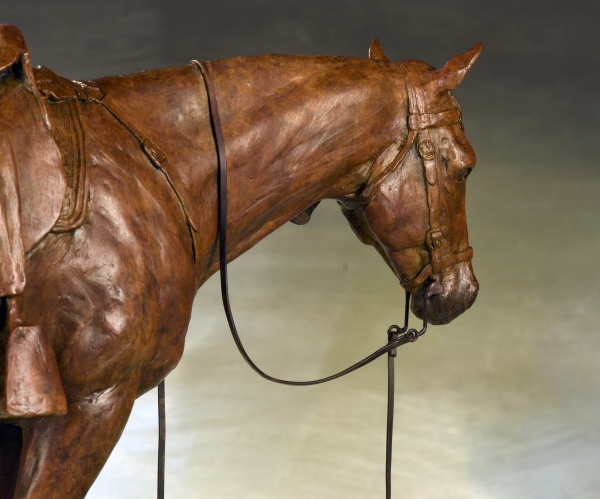 Ground Tied - Equine Bronze Sculpture - Liz Lewis