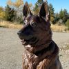 Loyalty (Life-Size German Shepherd Bronze Sculpture) - Liz Lewis