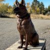 Loyalty (Life-Size German Shepherd Bronze Sculpture) - Liz Lewis