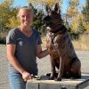 Loyalty (Life-Size German Shepherd Bronze Sculpture) - Liz Lewis