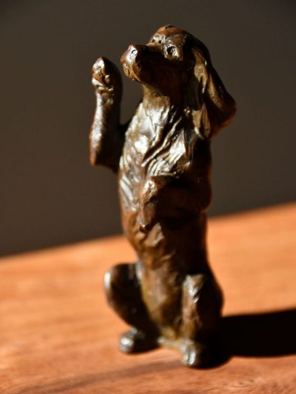 Wee Beggar - Dog Bronze Sculpture - Liz Lewis