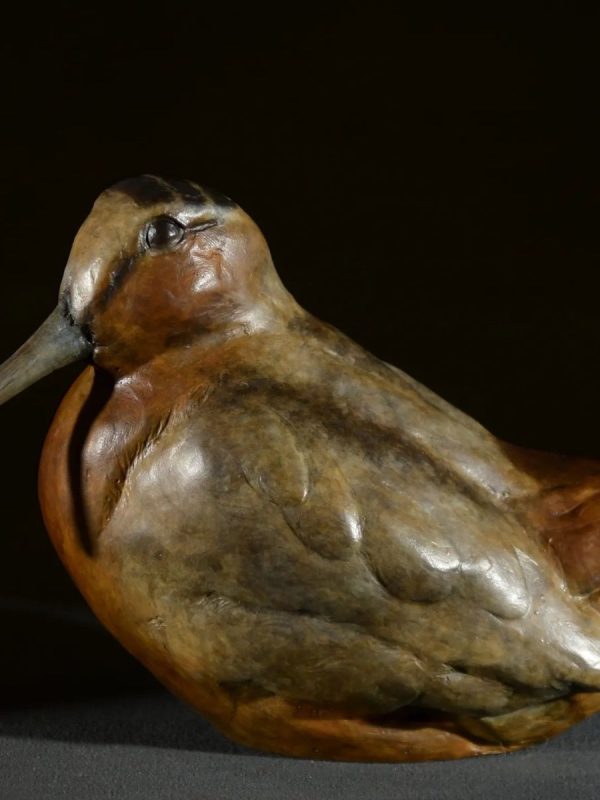 Timberdoodle - Woodcock Bronze Sculpture - Liz Lewis