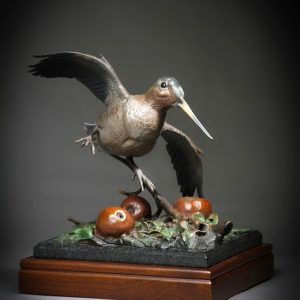 Wild Apple Woodcock - Bronze Sculpture - Ronnie Wells