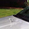 Border Terrier Hood Ornament - Louis Lejeune - Image 2