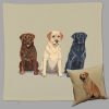 Labrador Trio Throw Pillow - Zeppa Studios