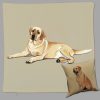 Yellow Lab Retriever Throw Pillow - Zeppa Studios - Image 4