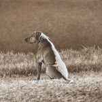 Balzac in the Sunlight - Original Graphite and Sepia Watercolor by Chris Chantland