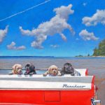 Acrylic painting of a Ford Ranchero and four lab puppies by Chris Chantland
