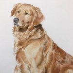 Golden Retriever Original Watercolor by Chris Chantland