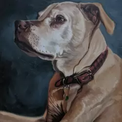 An original oil painting pet portrait of a dog named Comet.