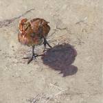 A painting of a young chicken by Kim Diment