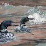 Painting of Loons by Kim Diment