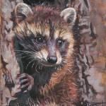 A painting of a raccoon by Kim Diment
