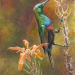A painting of a Sunbird by Kim Diment