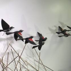 Red Wing Blackbirds Metal Sculpture close up